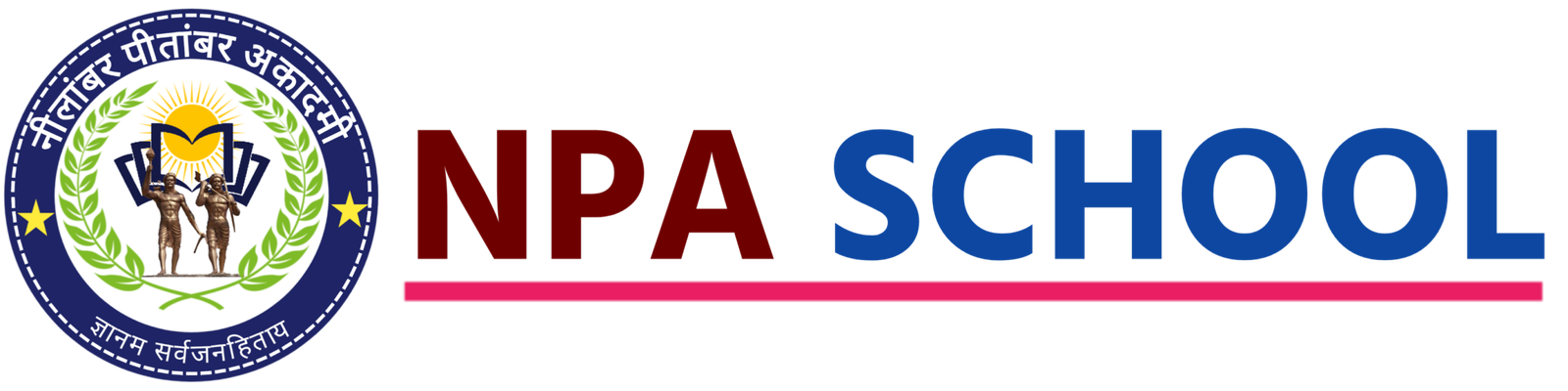 NPA School